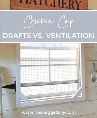 The Egg Plant Chicken Coop, Chicken Coop Air Flow, Venting A Chicken Coop, Chicken Coop Ventilation Winter, Chicken Coop Insulation Ideas, Chicken Coop Ventilation Ideas, Chicken Coop Ventilation, Coop Ventilation, Chicken Keeping Hacks