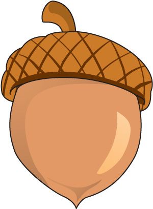 Acorn Clipart, Fall Window Decorations, Acorn Image, Wood Spoon Carving, Fall Clip Art, Fall Acorns, Acorn Crafts, Preschool Classroom Decor, Cute Squirrel