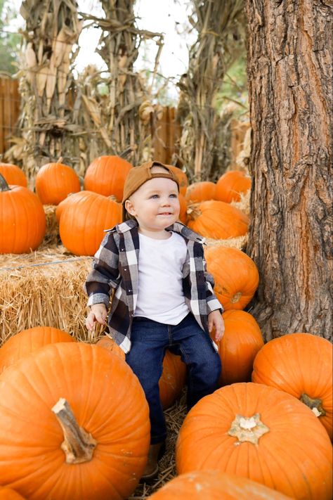 Fall Photo Ideas For Toddlers, Pumpkin Patch Toddler Photoshoot, Toddler Pumpkin Patch Photos, Baby Pumpkin Patch Photoshoot, Fall Toddler Pictures, Pumpkin Patch Photoshoot Kids, Pumpkin Picking Pictures, Toddler Boy Pictures, Pumpkin Photoshoot