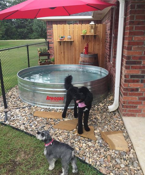 Check out our new stock tank pool!! 🏖🌵 #DIY #weekendproject #pinterestwin #stocktankpool #stocktank #atwoods… Diy Playground Ideas, Pond Diy, Garden Rooftop, Dog Friendly Backyard, Dog Backyard, Clay Garden, Garden Shade, Ideas For Dogs, Playground Ideas