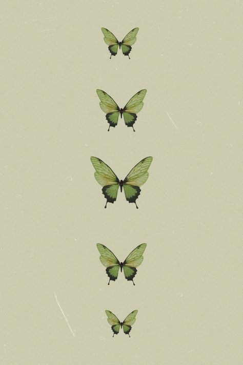 Cottagecore Butterfly Aesthetic, Green Backgrounds Aesthetic, Green Butterfly Aesthetic, Green Butterfly Wallpaper, Green Coquette, March Aesthetic, Mint Green Aesthetic, Sage Green Wallpaper, Wallpaper Notebook