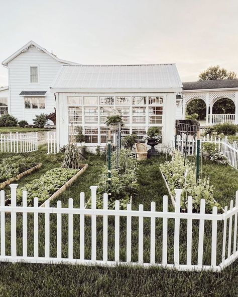 Green House With Old Windows, White Greenhouse, Diy Disinfectant, Farmhouse Lights, Painted Built Ins, Cozy White Cottage, Diy Moss, Disinfectant Wipes, Winter Farmhouse