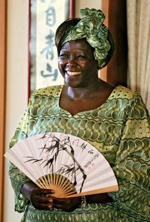 Blackfacts.com - Black Facts for September Wangari Maathai, Black Facts, No Distractions, Black Fact, Green Belt, Womens History Month, Historical Facts, Hand Art Drawing, Hand Art