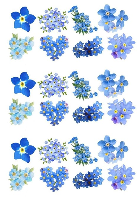 Blue Flower Tattoos, Forget Me Not Tattoo, Forget Me Nots Flowers, Forget Me Not Blue, Edible Wafer Paper, Wafer Paper Cake, Decorations Flowers, Potato Starch, Memorial Tattoo