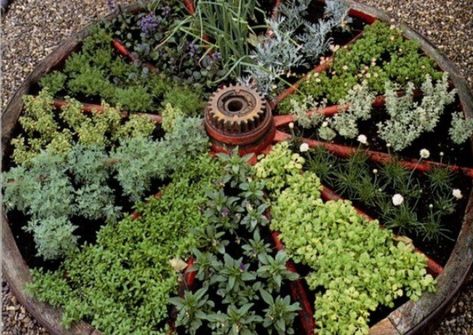 Backyard Herb Garden, Backyard Garden Beds, Small Herb Gardens, Outdoor Herb Garden, Herb Garden Design, Backyard Garden Landscape, Garden Design Plans, Indoor Herb Garden, Dry Creek