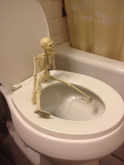 Instead of elf on a shelf for Halloween its Mr. Bones on the throne! Stay tuned for the adventures of Mr Bones Mr Bones Skeleton, Skeleton On Toilet, Funny Skeleton Pictures, Skeleton Pictures, Skeleton Pics, Silly Skeleton, Laredo Texas, Mr Bones, Chef Kiss