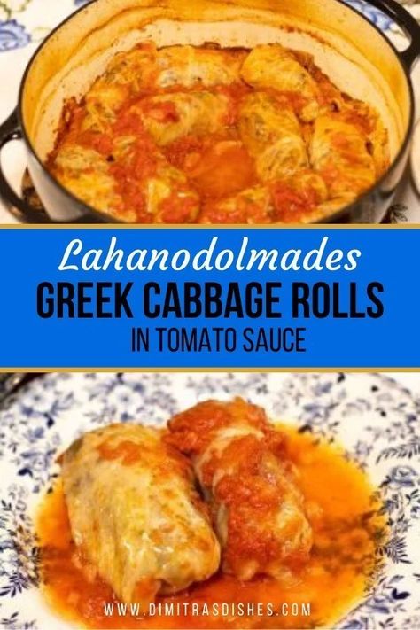 Greek Cabbage Rolls in Tomato Sauce: Lahanodolmades - Dimitras Dishes Greek Cabbage, Dimitras Dishes, Cabbage Rolls Recipe, Stuffed Cabbage, Homemade Tomato Sauce, Greek Dishes, Cabbage Rolls, Mediterranean Dishes, Cabbage Recipes