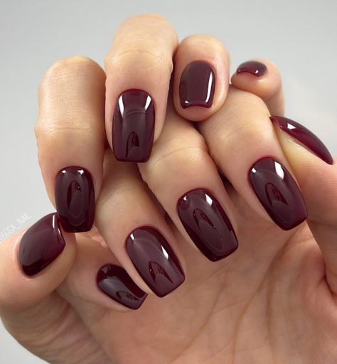 Fall Dark Nail Colors, Nails For Autumn 2023, Fall Deep Red Nails, Wine Nail Color Design, Late Fall Nail Colors, Dark Fall Nails 2023, Trending Nail Colors 2023 Fall, Autumn Nails 2023 Square, Short Fall Nails 2023 Gel