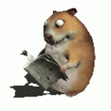 Hamster Memes, Hamster Memes Funny, Hamster Meme, Zepeto Park Background, Cute Jokes, Starter Pack, Funny Reaction Pictures, Videos Funny, Animal Memes