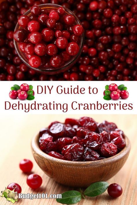 How To Make Dried Cranberries, How To Dry Fruit In The Oven, Drying Cranberries In Oven, Diy Dried Cranberries, How To Dry Cranberries In Oven, Dehydrated Cranberry Recipes, What Can You Make In A Dehydrator, Dehydrating Cranberries, How To Dehydrate Cranberries