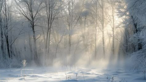 A serene winter morning with frost covered trees and soft sunlight. Mac Winter Wallpaper, Winter Wallpaper Horizontal, Winter Computer Background, White Aesthetic Horizontal, Winter Aesthetic Wallpaper Laptop, Winter Hd Wallpapers, Ipad Wallpaper Winter, Aesthetic Winter Background, Winter Wallpaper Ipad