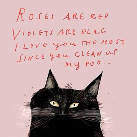 Funny Valentine’s Day Cards, Cat Humor Funny, Funny Cat Quotes, Cat Sayings, Cat Quote, Cat Obsession, Dancing Cat, Black Cat Art, Cat Cards