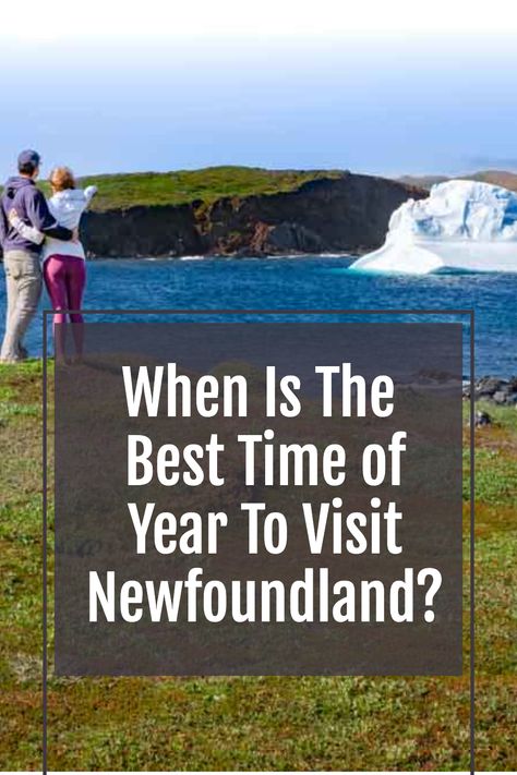 There are plenty of reasons to visit Newfoundland throughout the year! Find out when the best time to visit Newfoundland is for you, based on the sights you want to see, activities you want to do, and weather you want to enjoy. A complete travel guide for your perfect trip to Newfoundland! Fogo Island Newfoundland, Newfoundland Travel, Newfoundland Canada, Usa Travel Destinations, Rv Travel, Travel Board, Whale Watching, Usa Travel, Newfoundland