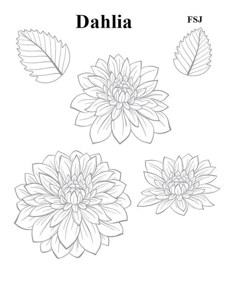 Dahlia stamp set FSJ Dahlia Flower Tattoos, Dahlia Tattoo, Flower Tattoo Stencils, Floral Stencil, Flower Line Drawings, 3d Art Drawing, Mandala Design Pattern, Tattoo Stencil Outline, 1 Tattoo