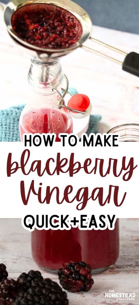 Do you have weeks where fruit gets devoured instantly, and others where it just sits and spoils? Before your blackberries go bad, try making blackberry vinegar! It's a simple way to preserve berries and reduce kitchen waste. Avoid moldy ones, but mushy berries work perfectly. Just add of blackberries to a pint jar, cover with apple cider vinegar, and let sit for 1-2 weeks. Strain and enjoy this sweet, tangy vinegar. #BlackberryVinegar #KitchenHacks #ZeroWaste #FoodPreservation #HomemadeVinegar Black Vinegar Recipe, Blackberry Canning Recipes, Blackberry Vinegar Recipes, Blackberry Vinegar, Making Vinegar From Fruit, How To Make Distilled Vinegar, Canning Blackberries Whole, Preserve Fresh Herbs, Flavored Vinegars