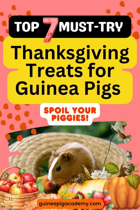 Our little piggies deserve to have a delicious feast of their own during this festive season, and what better way to spoil them than with some specially crafted treats? Homemade Guinea Pig Treats, Pig Snacks, Guinea Pig Snacks, Guinea Pig Diet, Raw Sweet Potato, Guinea Pig Food, Pigs Eating, Pig Food, Raw Carrots