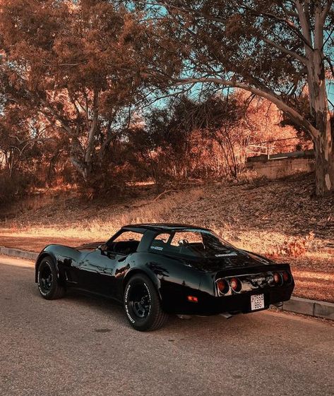 Tania Corvette on Instagram: "🍂🖤 - - - - - - - - - - - #classiccorvette #c3corvette #gm #chevrolet #corvettenation #v8 #c3 #americansportscar #carmodel #cargirl #carsofinstagram #v8muscle #chevroletperformance #vettelife #corvettelifestyle #corvette #corvettec3 #corvetteracing #classiccars #explorepage #tania_carsphoto #americanmuscle #automotivephotography #chevy #musclecars" C4 Corvette, C5 Corvette, C3 Corvette, Corvette C4, Corvette C3, Chevy Cars, Classic Corvette, Custom Muscle Cars, Old School Cars