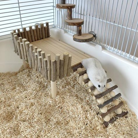 Smarter Shopping, Better Living! Aliexpress.com Diy Hamster Cage, Hamster Cage Ideas, Kandang Hamster, Hamster Platform, Hamster Supplies, Rat Cage Accessories, Cage Hamster, Hamster Diy, Hamster Habitat