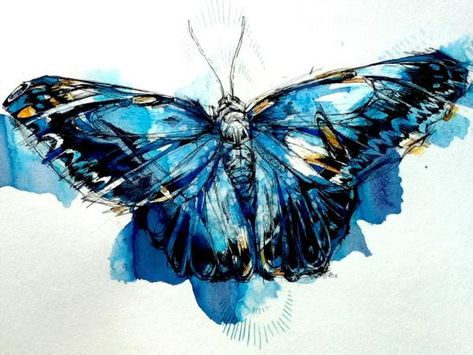 Abby Diamond is an amazing illustrator from Pennsylvania, US. As a fine arts graduate and animal lover, Abby created a stunning series of watercolor animals paintings. The birds are portrayed as if they have emotions and can speak with their eyes. Abby Diamond, Natural Form Art, Watercolor Paintings Of Animals, Butterfly Artwork, Butterfly Art Print, Morpho Butterfly, Insect Art, Butterfly Watercolor, Watercolor Paint