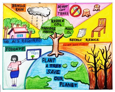 Save trees 🌲 Planting Trees Drawing Poster, Importance Of Trees Poster, Save Trees Drawing For Competition, Deforestation Poster Ideas, Save The Trees Poster, Save Trees Poster Creative, Tree Planting Poster, Save Trees Poster, English Recitation