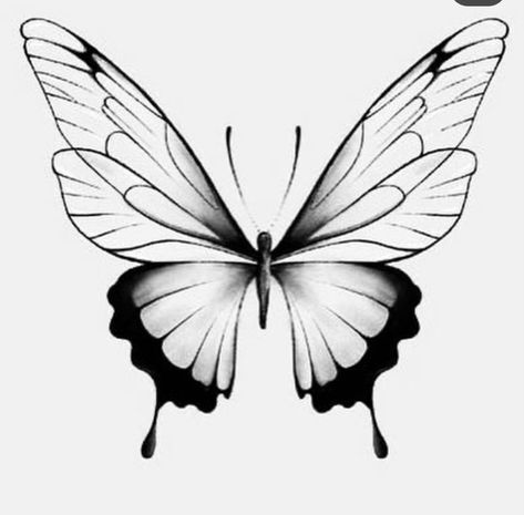 Butterfly Tattoo Stencil, Butterfly Outline, Tattoo Animal, Bug Tattoo, Chicano Drawings, Stained Glass Butterfly, Halloween Goodies, Tattoo Stencils, Animal Tattoos