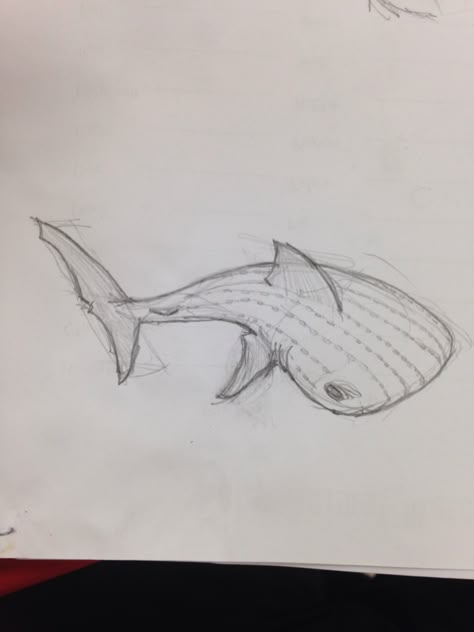 Whale shark sketch Wale Sharks Drawing, Easy Whale Shark Drawing, Shark Drawings Easy, Whale Shark Drawing Easy, Shark Whale Drawing, Whale Shark Drawing Sketches, Whale Shark Doodle, Sharks Sketch, How To Draw A Shark