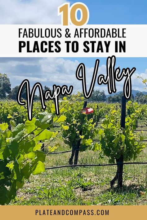 10 Fabulous and affordable places to stay in Napa Valley Where To Stay In Napa, Nappa Valley, Bougie On A Budget, Napa Valley Vacation, Boujee On A Budget, Napa Valley Hotels, Cheap Places To Visit, Napa Trip, Napa Valley Trip