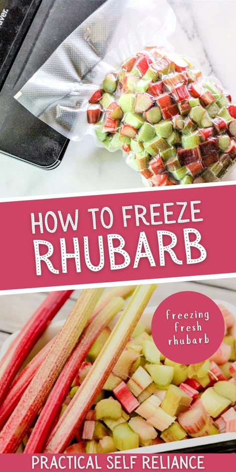 How To Preserve Fresh Rhubarb, How To Freeze Fresh Rhubarb, How To Use Frozen Rhubarb, Things To Do With Rhubarb, Freezing Rhubarb How To, How To Freeze Rhubarb, Rhubarb Savory Recipes, Green Rhubarb Recipes, Fresh Rhubarb Recipes