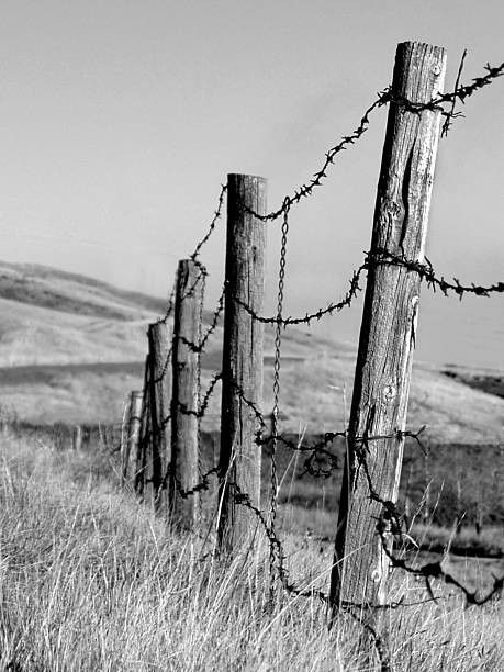 Barb Wire Fence, Wire Fences, Barbed Wire Fence, Barbed Wire Fencing, Landscape Pencil Drawings, Country Fences, Rustic Fence, Pencil Drawings For Beginners, Barb Wire