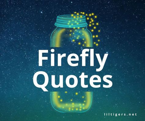 50 Best Fireflies Quotes Lightning Bug Quotes, Fireflies Quotes Love, Lightening Bug Quotes, Firefly Quotes Inspiration, Firefly Bulletin Board, Quotes About Glowing, Fireflies Quotes, Firefly Decor, Bug Quotes