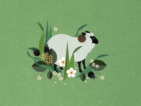 Sally Caulwell, Insomnia Illustration, Sheep Images, Baby Room Artwork, Sheep Logo, Sheep Illustration, Illustrative Design, Farm Animal Art, Child Illustration