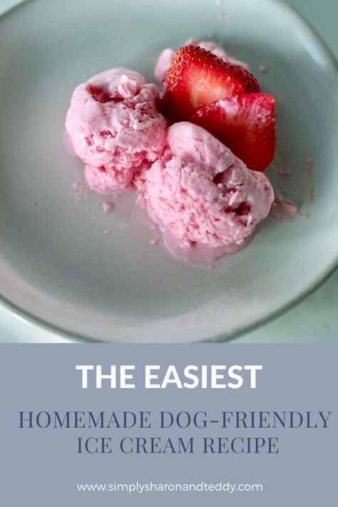 Healthy Dog Ice Cream Recipe, Dog Friendly Ice Cream, Dog Ice Cream Recipe Greek Yogurt, Dog Ice Cream Recipe Homemade, Doggie Ice Cream Recipes, Homemade Dog Ice Cream, Dog Ice Cream Recipe, Puppy Ice Cream, Easy Dog Treat Recipes