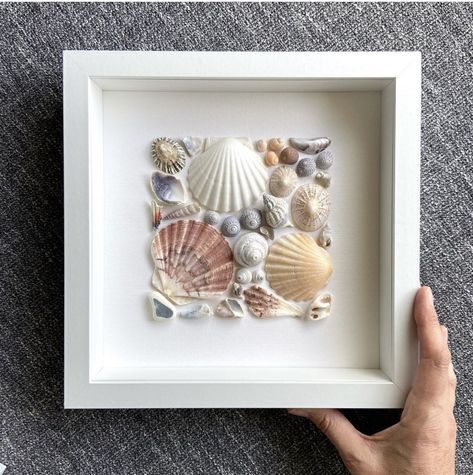 How To Display Shells From The Beach, Sea Shell Display Ideas, Seashell Display Ideas, Auger Shell, Shell Artwork, Seashell Art Diy, Art Coquillage, Seashell Projects, Seashell Wall Art