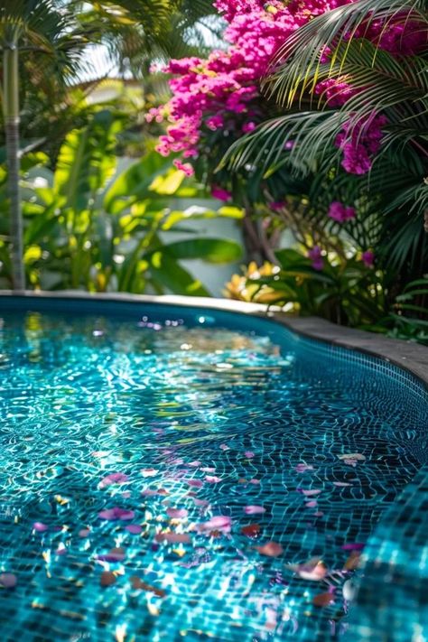 Privacy Ideas for Pools: Enhance Your Oasis Dream Backyards, Insane Pools, Landscaping Around Pool, Privacy Ideas, Small Urban Garden, Palm Beach Gardens Florida, Easy Landscape, Shell Yeah, Island Wallpaper