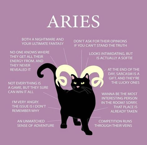 Aries Core, Aries Journal, Aires Zodiac, Aries Vibes, Aries Things, April Aries, Aries Sun, Astrology Signs Aries, Aries Girl