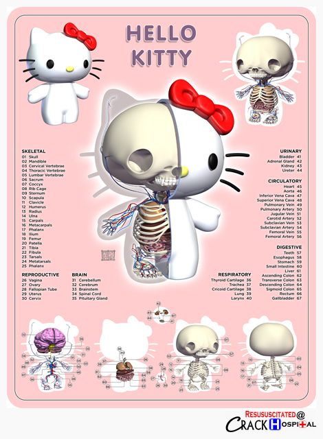 Crack hospital Hello Kitty Anatomy Hello Kitty Poster, Jason Freeny, Nursing Pictures, Anatomy Chart, Images Hello Kitty, Charmmy Kitty, Hello Kitty Aesthetic, Trening Fitness, Hello Kitty Art