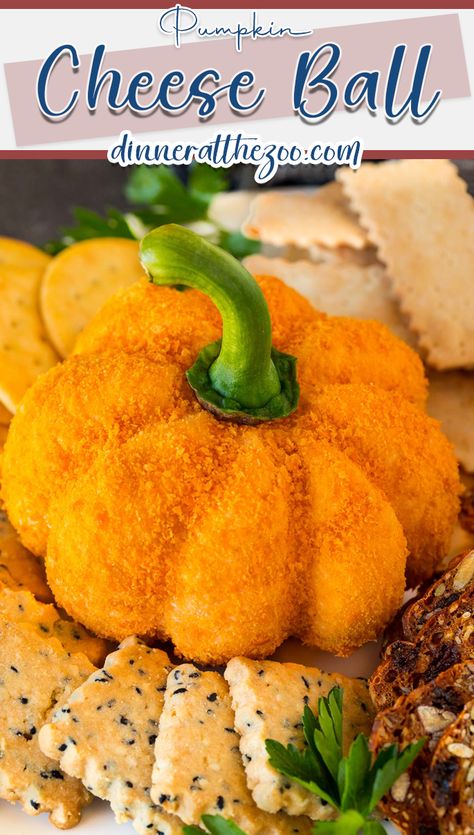 This pumpkin cheese ball is a blend of cheeses and seasonings that is shaped like a pumpkin and coated with crunchy cheese cracker crumbs. Pumpkin Cheeseball, Halloween Cheese Ball, Pumpkin Cheese Ball, Cheese Pumpkin, Cheese Ball Recipes, Best Cheese, Delicious Pumpkin, Easy Appetizer Recipes, Easy Pumpkin