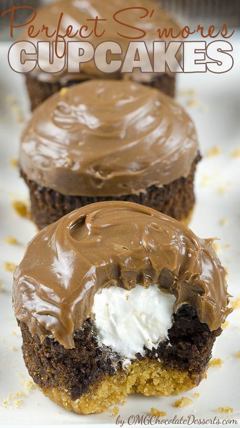 Perfect S’mores Cupcakes - OMG Chocolate Desserts Dessert List, Marshmallow Filling, Biscuits Graham, Smores Cupcakes, Daily Recipes, Dessert Cupcakes, Yummy Sweets, Graham Cracker, Tasty Recipes