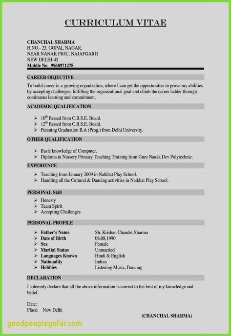 Resume For Students With No Experience, Sample Of Resume, Resume Format For Experienced, No Experience Resume, Cv Format For Job, Latest Resume Format, Resume Format Free Download, Free Resume Format, Cv Resume Sample