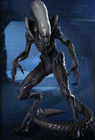 Xenomorph Anatomy, Xenomorph Pfp, Xenomorph Concept Art, Xenomorph Cosplay, Xenomorph Types, Future Character Design, Alien The Movie, Aliens Xenomorph, Xenomorph Queen