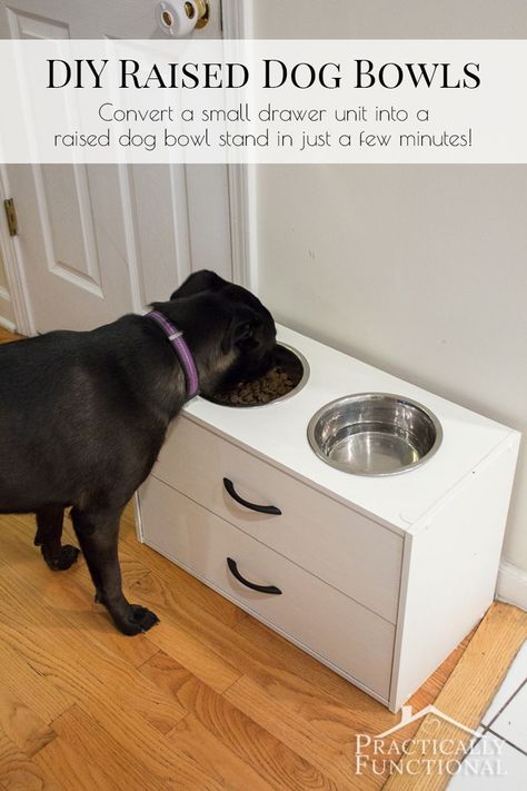 Dog Bowls Diy, Raised Dog Bowl Stand, Dog Food Stands, Dog Food Station, Raised Dog Beds, Raised Dog Feeder, Dog Feeding Station, Dogs Diy Projects, Diy Dog Food