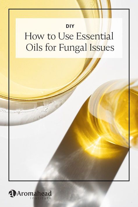 Geraniol and citronellol are two components proven to reduce the presence of fungus. This lotion recipe can help soothe irritated patches of skin, including areas around your feet and nails. https://www.aromahead.com/blog/how-to-use-essential-oils-for-fungal-issues-nl Anti Fungal Essential Oil Recipe, Antifungal Essential Oil Recipe, Essential Oils For Fungal Infections, Anti Fungal Essential Oil, Antifungal Essential Oil, Skin Fungus, Diy Essential Oil Recipes, Lotion Recipe, Get Rid Of Warts