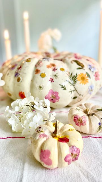 Meredith Wing on Instagram: "Flower Pumpkin DIY!  This activity is easy, pretty, and fool-proof for a rainy activity with a kid... (or by yourself!) Parker exclaimed "Mommy I'm having so much fun in your studio!"  MATERIALS  1) white pumpkin(s) - big mama and two babies make a cute set  2) pressed flowers (press them yourself for extra extra points or buy via Amazon for efficiency! linked in stories today or DM me)  3) Mod Podge Glue/Sealer 16oz  4) brushes (bristle or foam work, but for me foam ones bubble the thin mediums like water-based glue)  5) painter’s tarp for spills   DIRECTIONS  1) lay down painter’s tarp   2) scrub pumpkin to remove excess dirt then wash with dish soap or vinegar for a clean surface - wipe and allow to dry  3) arrange pumpkins on tarp and apply think layer of M Craft Pumpkins Diy, Pumpkin Dried Flowers, Dried Flowers On Pumpkins, Flower Pumpkin Decorating, Dried Flower Pumpkin, Pressed Flower Pumpkin, Workshop Inspiration, Flower Pumpkin, Craft Pumpkins