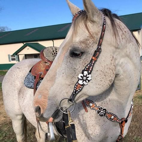 Browband, one ear and breastcollar in floral tooled buckstitch style. They are decorated with black and white gardenias and copper clear crystal conchos. Browband and one ear measure 44" bit to bit at the longest setting. The breastcollar is regular horse size. Lifetime guarantee on all crystals. Buy Together or Separate BROWBAND ONLY - $222.00 ONE EAR ONLY - $181.00 BREASTCOLLAR ONLY - $291.00 BROWBAND TACK SET -$513.00 ONE EAR TACK SET- $472.00 Western Horse Tack Turquoise, Western Riding Tack, Barrel Racing Tack Rodeo, Barrel Racing Saddles, Dream Horse Barns, Cute Horse Pictures, Barrel Racing Tack, Barrel Racing Horses, Horse Inspiration