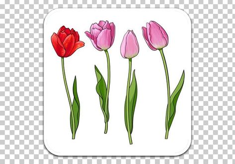 Flower Buds Painting, Rose Bud Drawing, Rose Bud Drawing Simple, Bunch Of Tulips Drawing, Tulip Flowers Png, Tulip Png, Tulip Bud, Neckline Designs, Draw Drawing