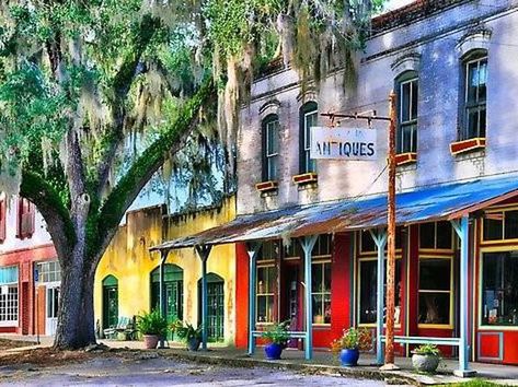 Florida’s Historic Town of Micanopy – Whole Lifestyle Micanopy Florida, Apalachicola Florida, American Stuff, Florida History, Florida Attractions, Vintage Houses, Whatever Forever, Florida Life, Gainesville Florida