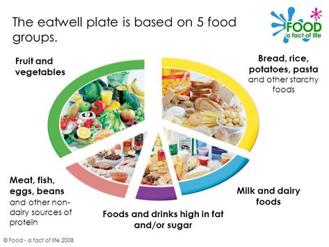 The eatwell plate © Food - a fact of life 2008. - ppt video online download The Eatwell Plate, 5 Food Groups, Pizza Ball, Vegetable Bread, Fact Of Life, Starchy Foods, Food Groups, Healthy Cat Treats, Healthy Work Snacks