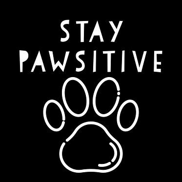 Stay pawsitive cute adorable paw print cat dog pet quote for daily motivation Paws Quotes, Pet Lover, Funny Pet Quotes, Dog Sayings Quotes, Cat Quotes Inspirational, Paw Quotes Dog, Paw Quotes, Pet Store Design, Dog Mom Quotes