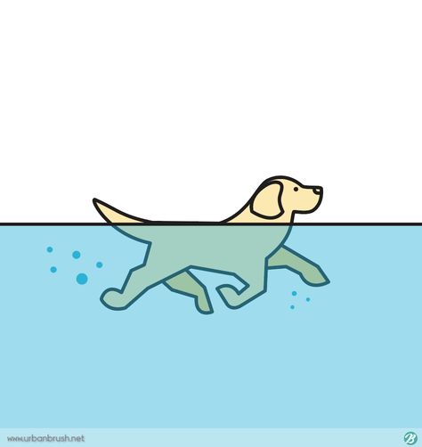 Dog Swimming Illustration, Swimming Drawing, Dog Swimming, Dog Pin, Dog Drawing, Pin Collection, Diy Cards, Drawing Reference, Swimming