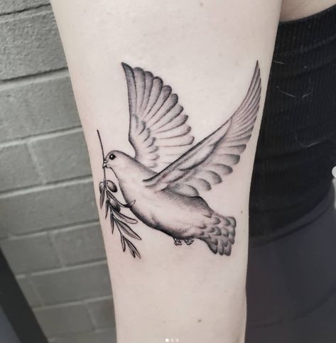 Dove With Olive Branch Tattoo Dove Holding Olive Branch, Dove With Olive Branch Tattoo, Olive Tattoo, Dove With Olive Branch, Olive Branch Tattoo, Dove Tattoo Design, Tattoos Arm, Dove Tattoo, Branch Tattoo